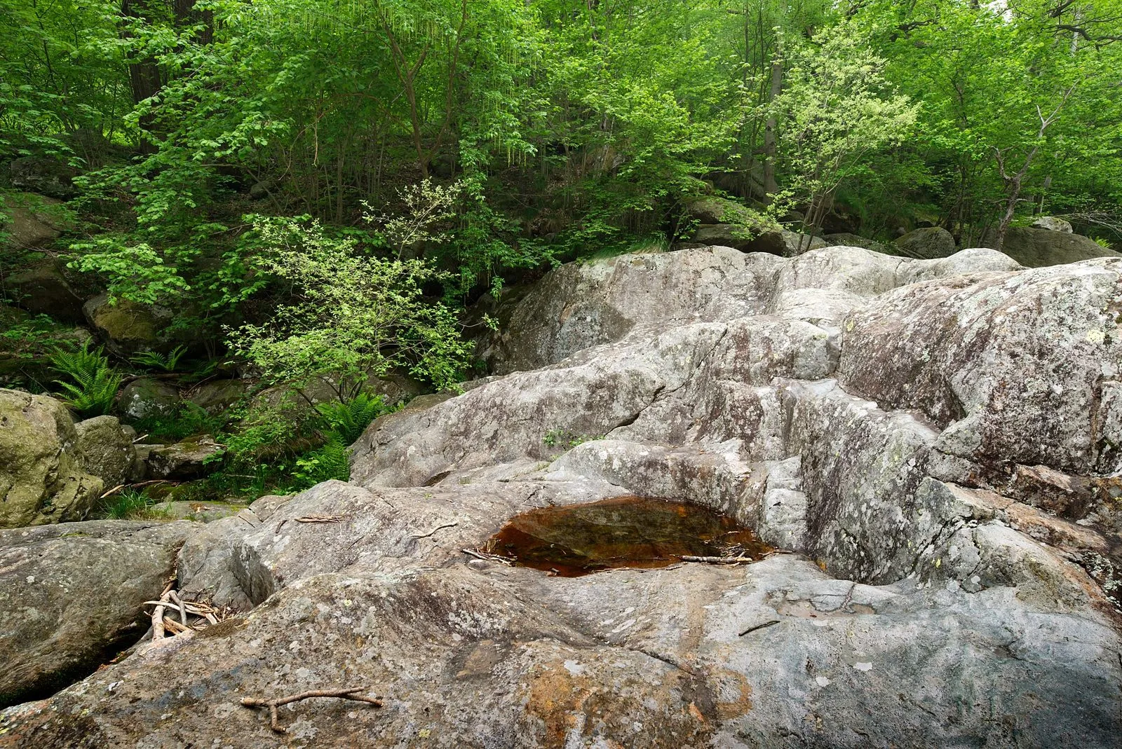 Rocce levigate e bosco verde lungo il torrente in Valchiusella